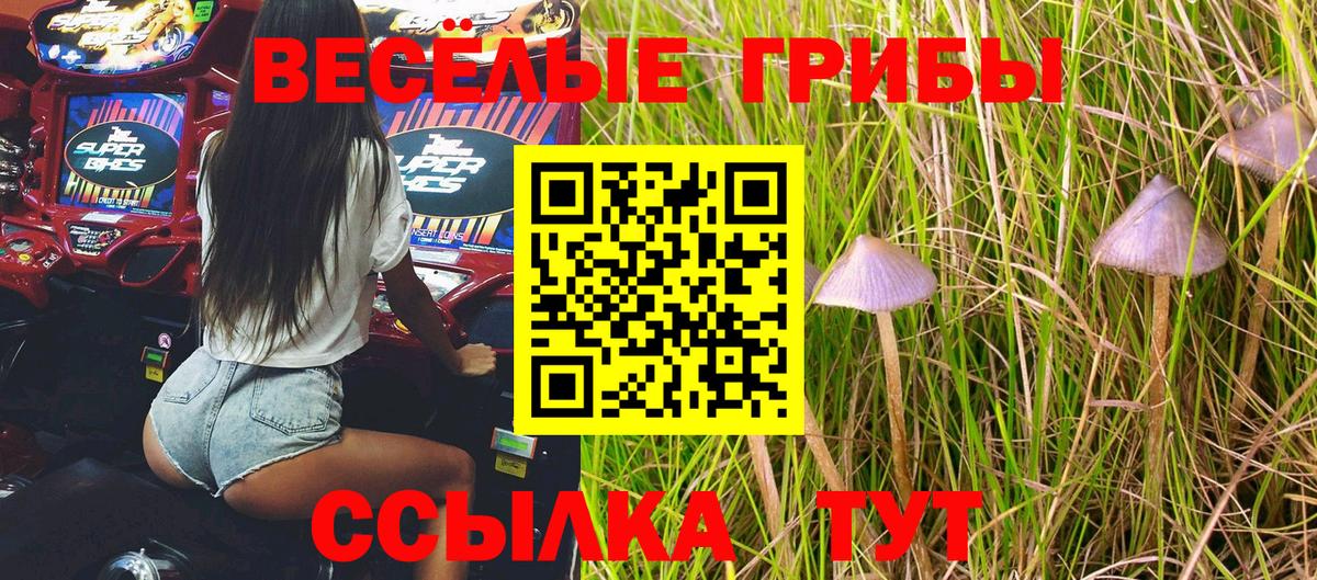 Псилоцибиновые грибы мицелий  Псилоцибиновые грибы Psilocybe  Еманжелинск  Вход с VPN 