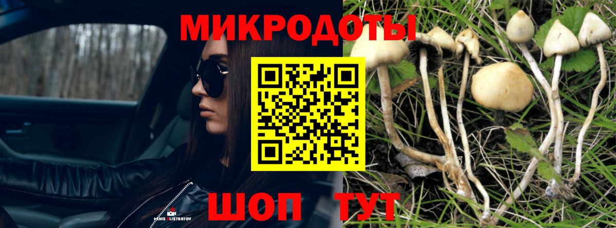 Галлюциногенные грибы Psilocybine cubensis Еманжелинск